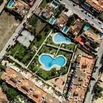 Marbella Petunias Lorcrisur