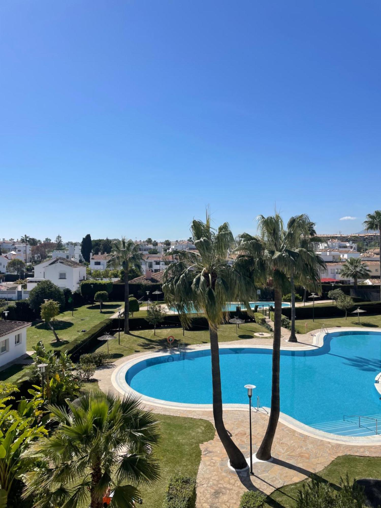 Petunias Lorcrisur * Marbella