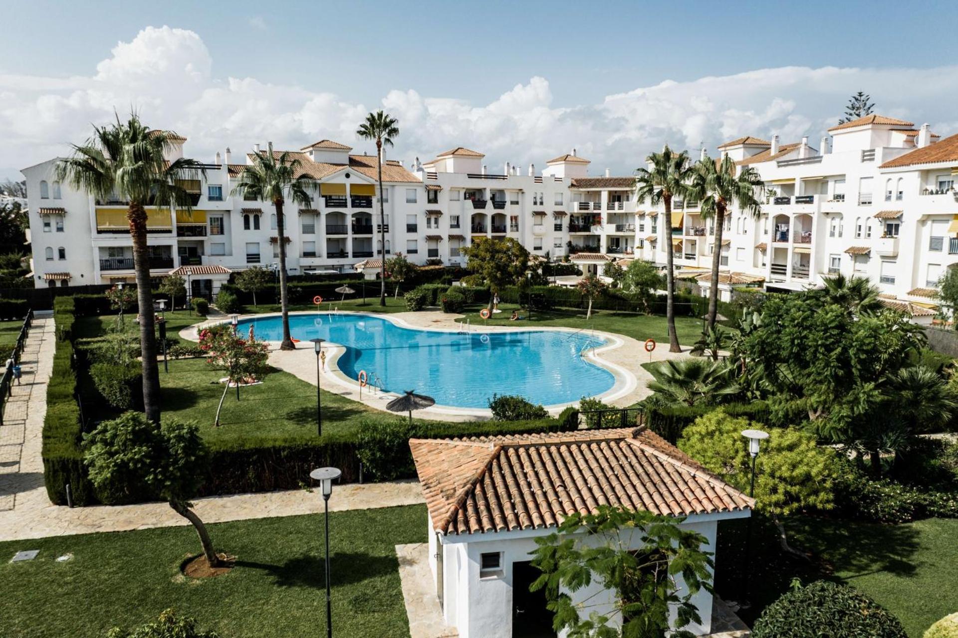Petunias Lorcrisur Marbella