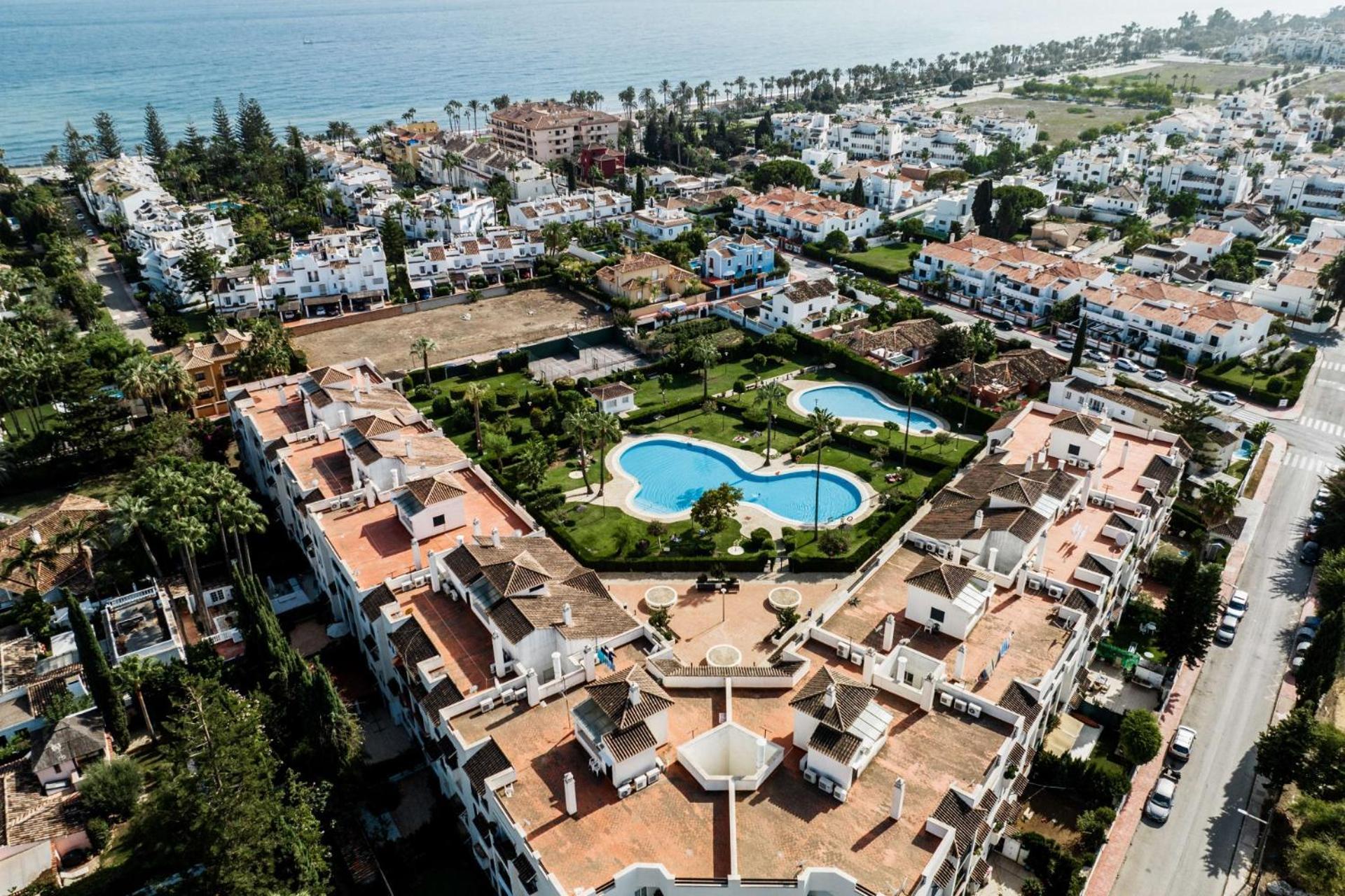 Petunias Lorcrisur Marbella